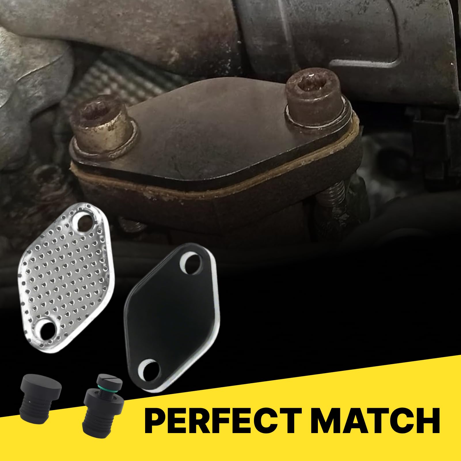 Zestaw do usuwania chłodnicy EGR M57N2 3.0L Diesel E46 E60 E61 E65 E83 E53