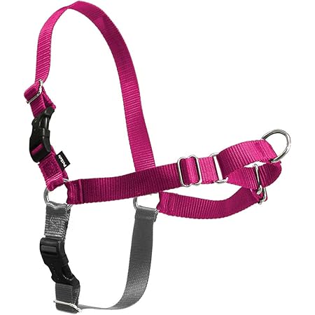 balance harness amazon