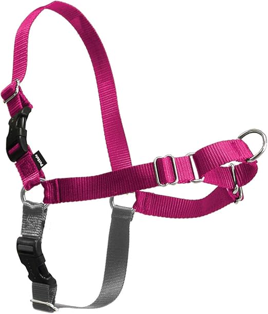 PetSafe Easy Walk Dog Harness, No Pull Dog Harness, Raspberry/Gray