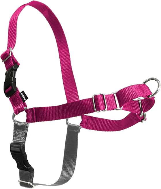 no jump dog harness