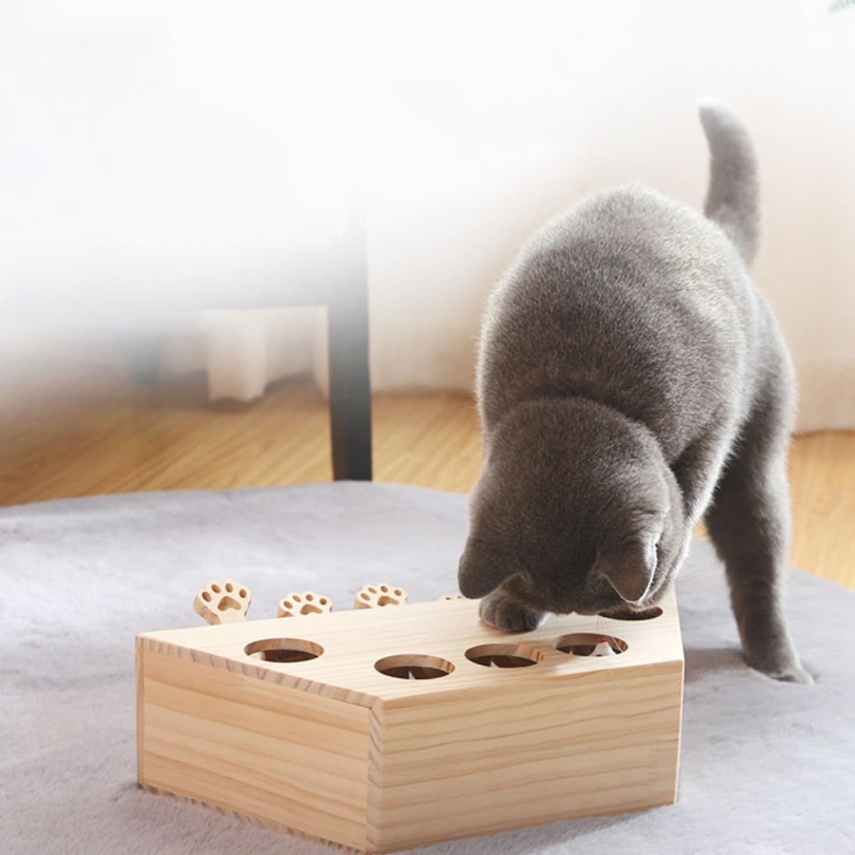 Lustiges Katzenspielzeug mit Fünf Löchern Verbessert Interaktivität und Leicht zu Verstauen für Spielerisches Kätzchen Jagdspiel zu Hause