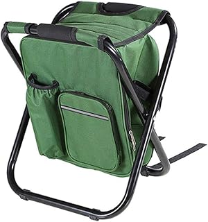 Festnight Taburete Plegable al Aire Libre Taburete de Silla portátil con Bolsa de refrigeración aislada para Acampar Pesca Senderismo Playa