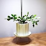 Review Image by Valerie M Valerie M