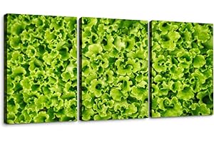 Decorate Your Walls with Freshness: Lettuce 3-Piece Canvas Wall Art