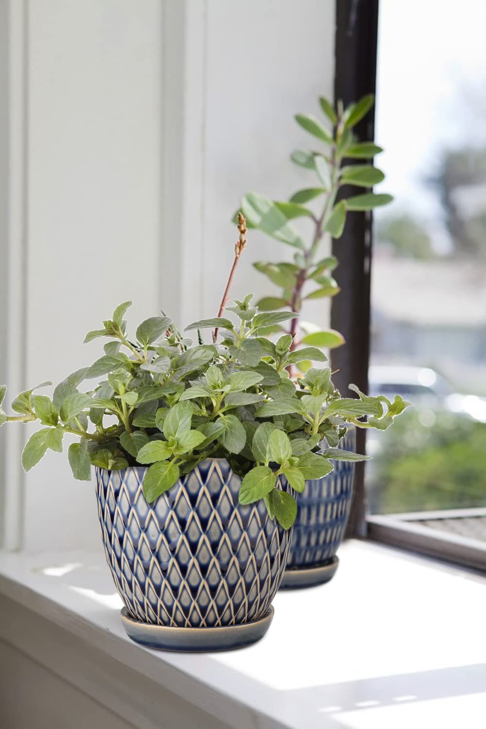 10cm Ensemble de 3 Pots de Plantes en Céramique Petits Pots de Fleurs Ronds avec Trou de Drainage et Soucoupe pour Cactus Succulent, pour Intérieur Extérieur Jardin Maison Rebord de Fenêtre