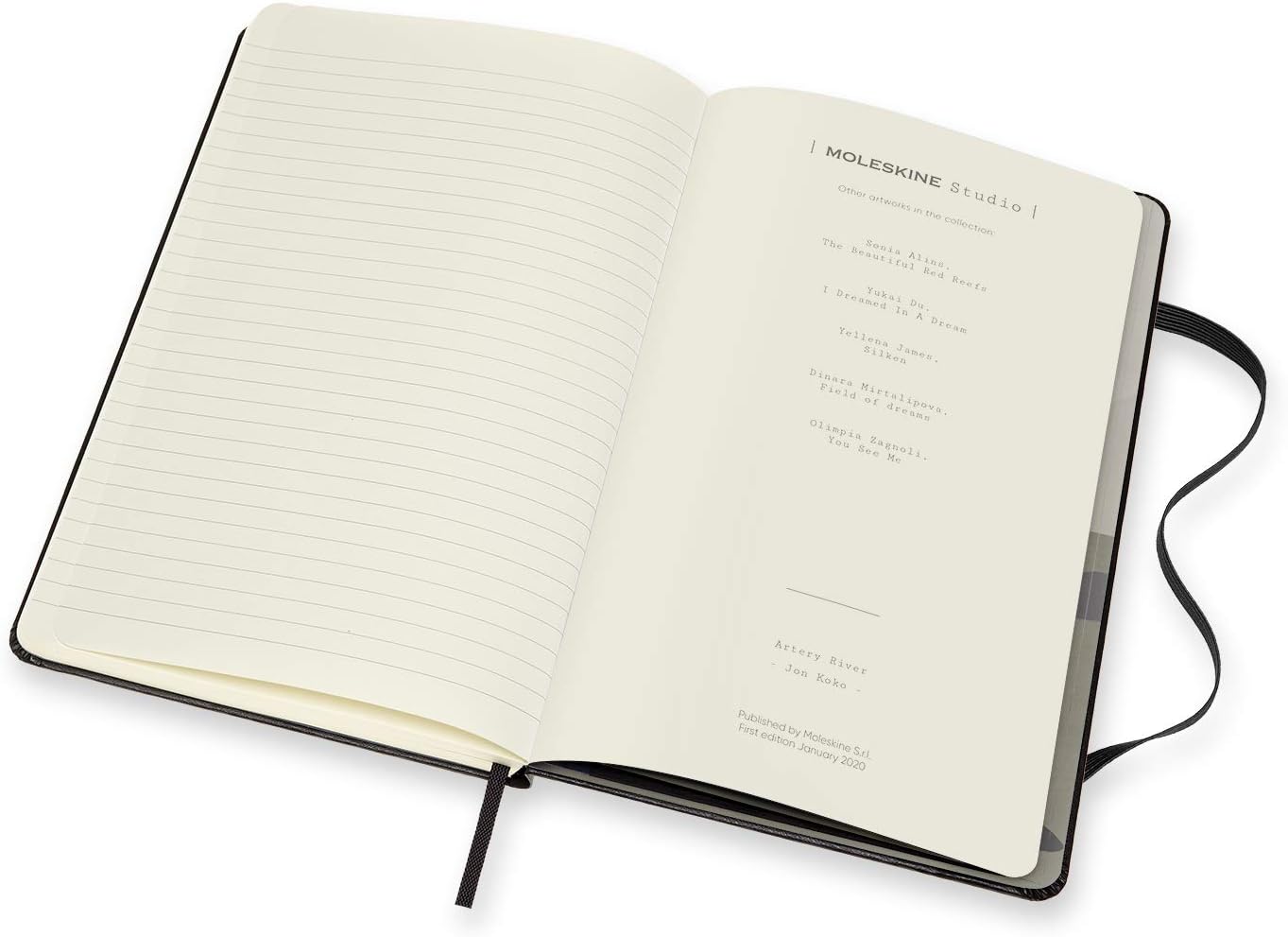 Moleskine Limited Edition Studio Collection Notebook, Hard Cover, Large (5" x 8.25"), Ruled/Lined, Jon Koko, 240 Pages