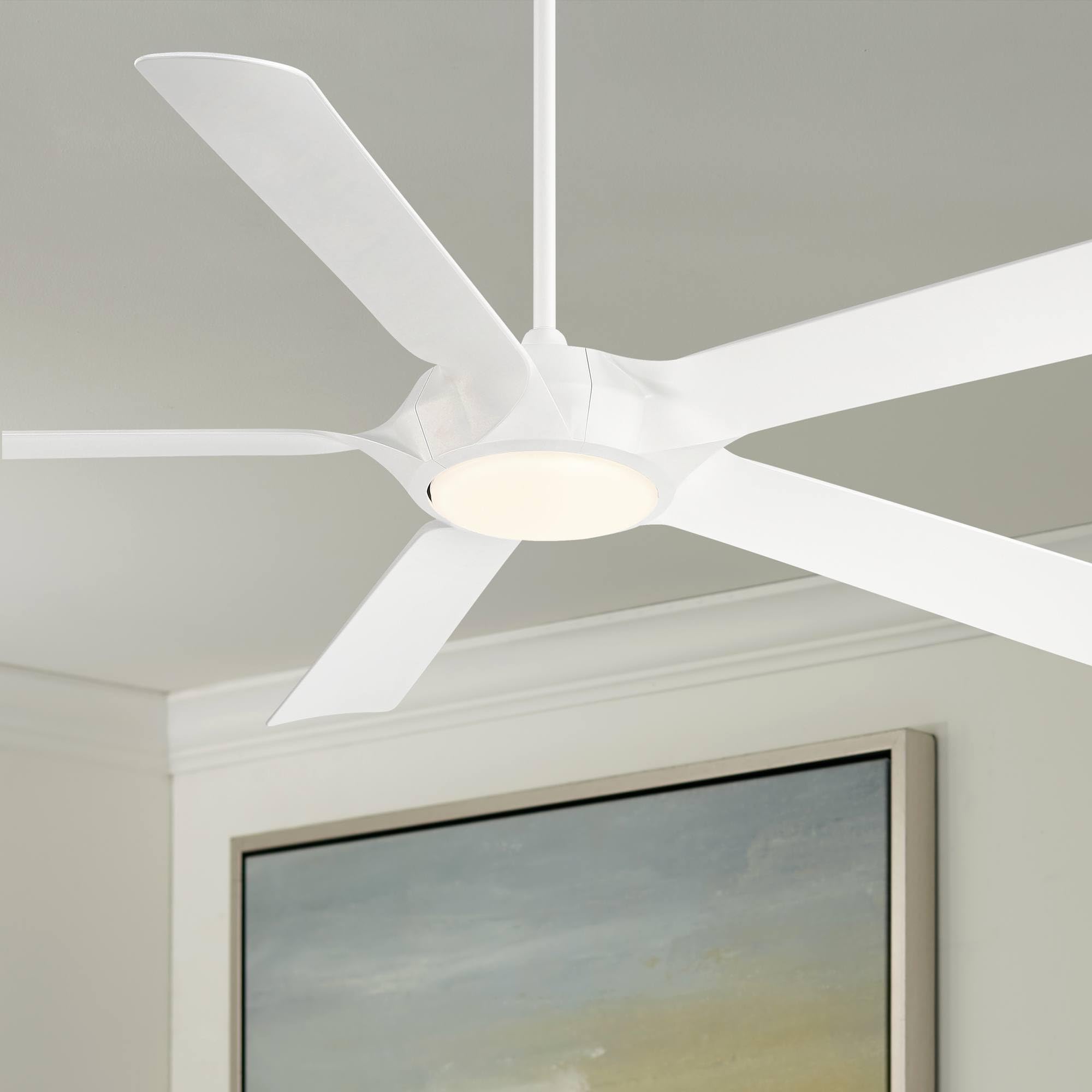 Amazon.com: Casa Vieja 60