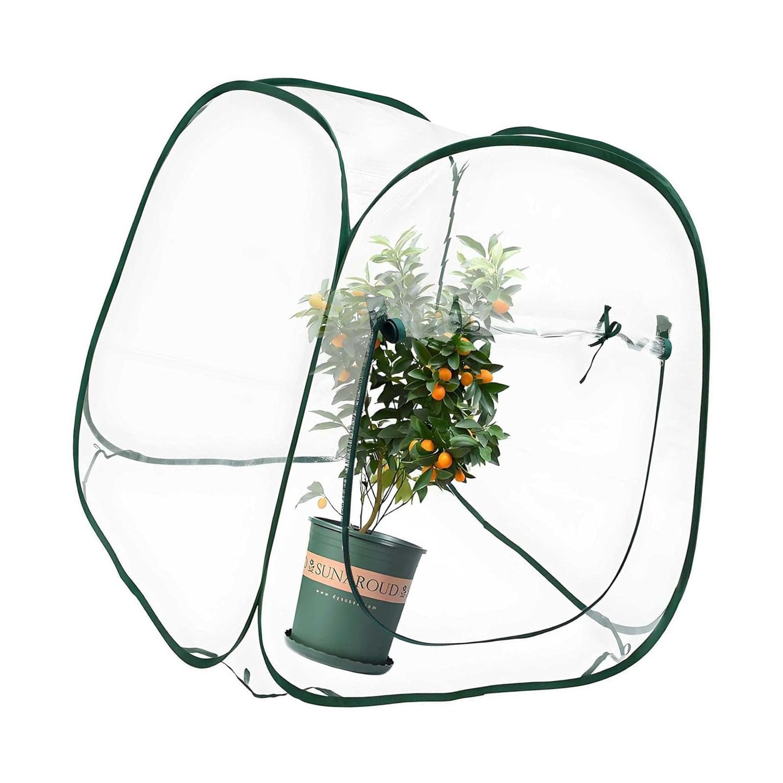 Cubierta de invernadero para plantas, diseño aislado para jardín, materiales protectores de PVC transparente, construcción de marco de acero, cubierta protectora para plantas para varias estaciones