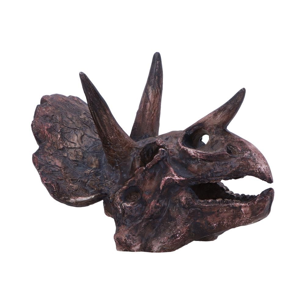 Nemesis Now Dinosaur Skull Statue - Gifts & Decor for Paleontology Enthusiasts and Collectors - Hand-Painted Resin Dinosaur Fossil - Triceratops