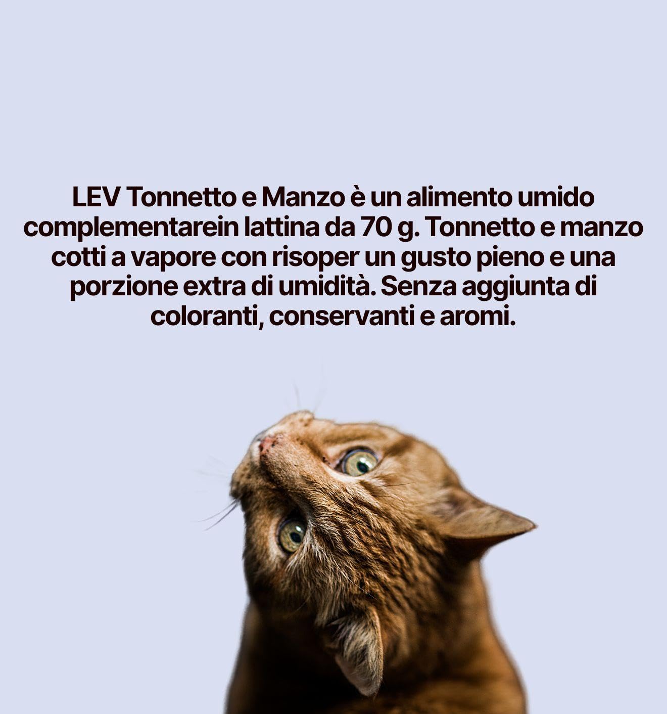 Lev - Peleles húmedos para gatos adultos de atún y ternera, alimento complementario para gatos adultos de todas las tallas y razas, sabor atún y carne de vacuno | 12 latas de 70 gramos cada una.