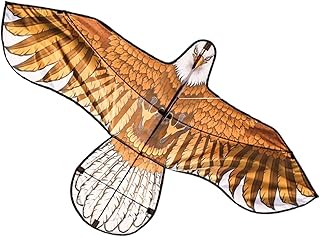 Easy to Fly Kit Large Animal Kite Easy to Fly to The Breeze Adult Outdoor Park Square Shipwreck Sports Kite Toy Easy to Take Off Kite Kids Kite Easy to Assemble Kite Toys