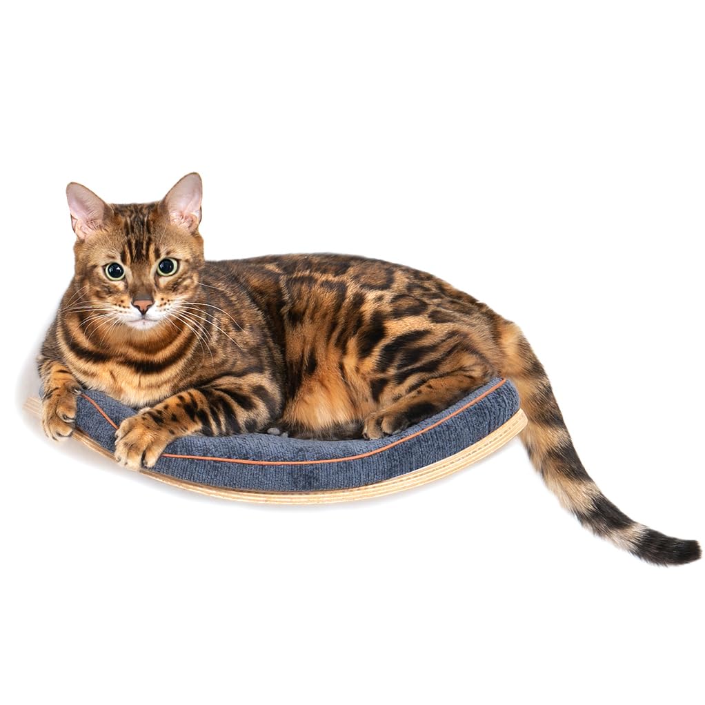 Cat Wall Shelves for Cat Wall Steps, Perch, Ladder, Wooden Floating Modern Mounted Space Saving Furniture with Scratching Cushion Removal Cover for