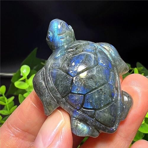 Miniatura 8 de TEAMWILL Labradorita natural tallada a mano tortuga cráneo cuarzo cristal curativo Reiki 1pc