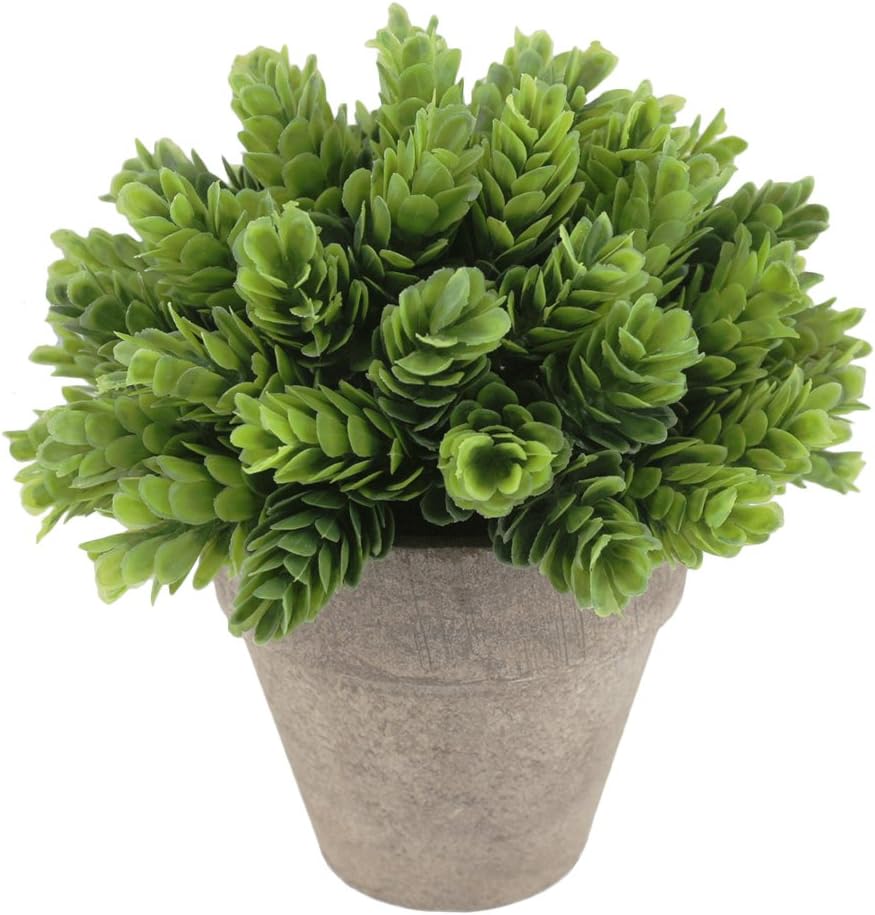 Kumii Small Artificial Plastic Potted Plant, Home Decor Grass for Desk Office Living Room Bedroom (Natural Green)