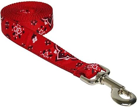 red dog leash