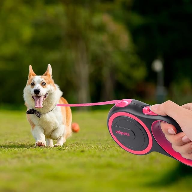 Foto 6 de 6 de Edipets, Correa Perro Extensible, Retráctil, 3, 5 y 8 Metros, Cinta Flexible para Adiestramiento y Paseo