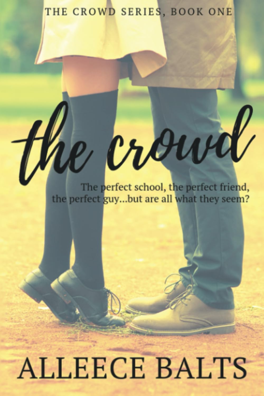 The Crowd: a novel about fitting in and standing out (The Crowd Series)