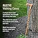Brazos Rustic Wood Walking Cane, Twisted Hickory, Traditional Style Handle, for Men & Women, Made in the USA, 37