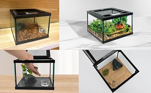 Kits iniciantes de mini tanque de terrário de vidro para répteis, 20 x 20 x 15 cm, caixa de alimenta