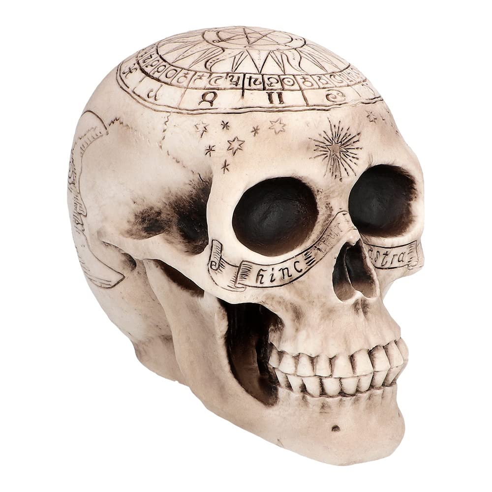 Boland 73081 Skeleton Decoration, 20 cm, Astronomical Skull Decoration, Halloween Decoration, Party Decoration