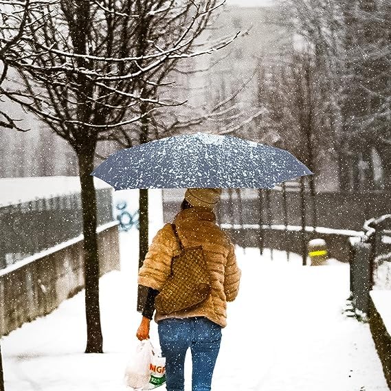 Image of Alexvyan Mini Umbrella with Case for Men & Women (Manual Open) Compact Travelling Umbrella, Polyester & UV Protection Fabric for Summer /Anti-Slip Handle- Use in Rain & Summer- 6 Frame