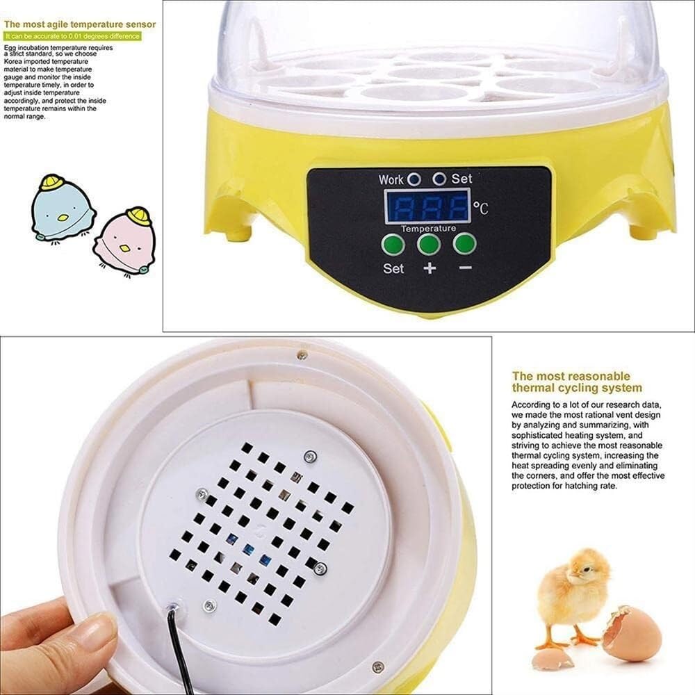 Mini inkubator do jaj 7 jaj Cyfrowy wylęgarnia drobiu z kurczaka Półautomatyczny inkubator ze sterowaniem Wylęgarnia jaj Regulacja temperatury dla kurczaka Kaczka Ptak