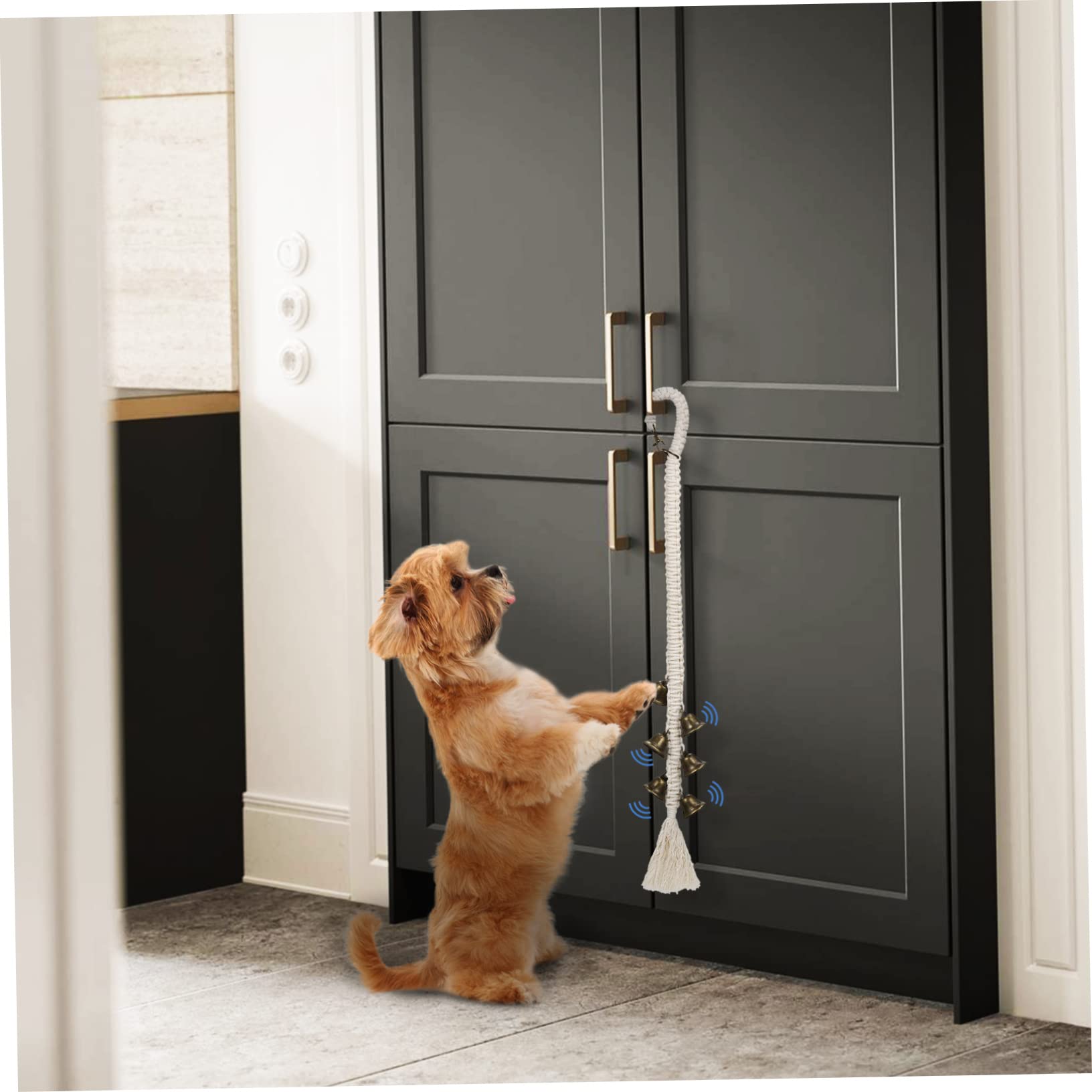 BESPORTBLE Pet Training Doorbells 2 Handwoven Rope Bells Dog Door Bell Set Pet Supplies for Potty Training Aid