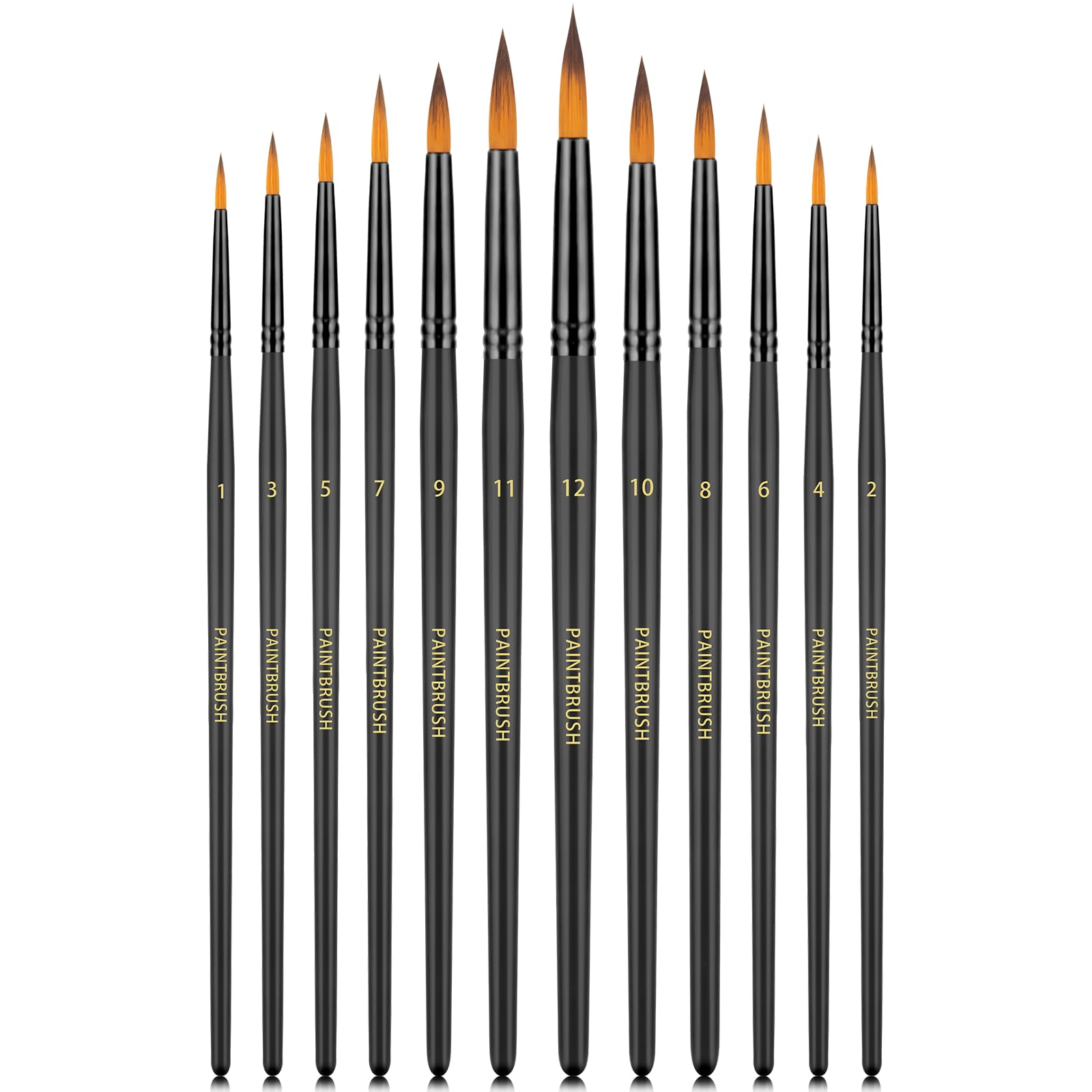 Fenorkey Black Watercolor Brushes Professional Set，12Pcs Artist Watercolor Paint Brushes，Round Painting Brush For Watercolor, Acrylics, Ink, Gouache(Black)