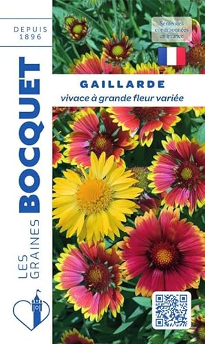 Sachet de graines de Gaillarde vivace à grande fleur variée - 1,5 g - fleur vivace - LES GRAINES BOCQUET