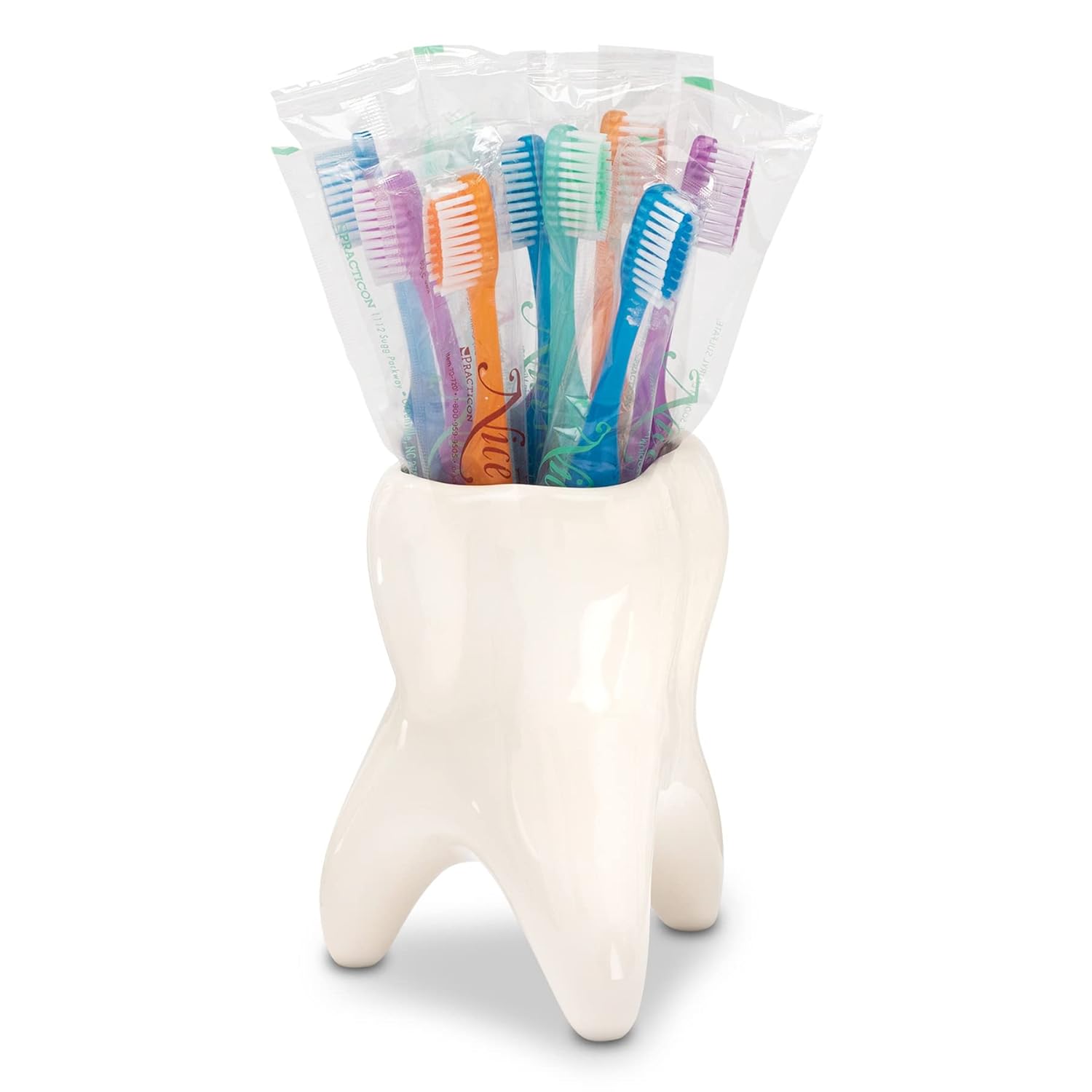 Molar Vase