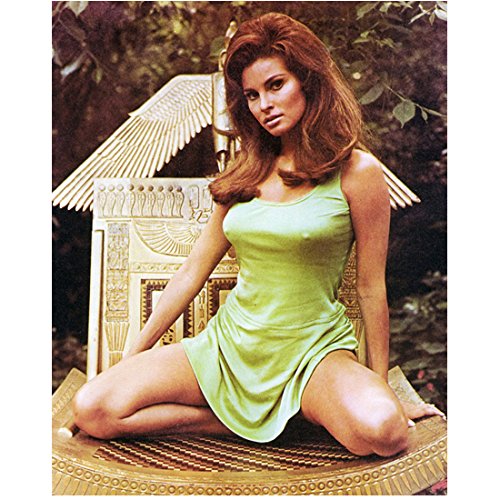 Raquel Welch 8x10 Photo Kneeling - Photograph at Amazon's Entertainment  Collectibles Store