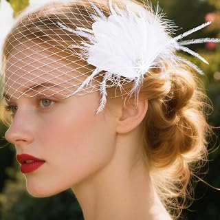 Bride Wedding Birdcage Veil White Feather Bridal Headpiece Accessories with Comb for Women