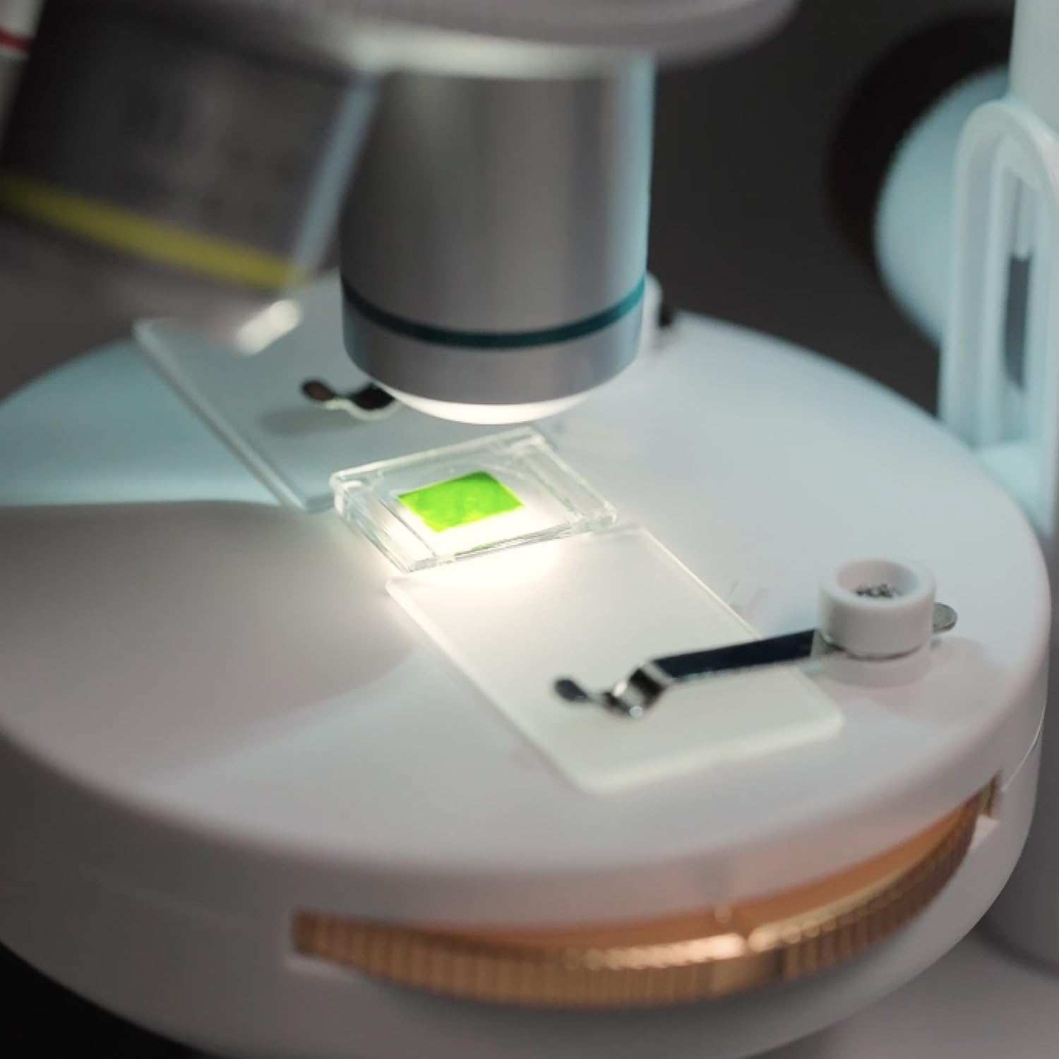 Canal Toys - So Science - Microscopio de Laboratorio - COS 004