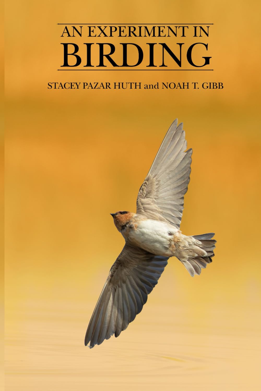 An Experiment In Birding      Paperback – February 18, 2026