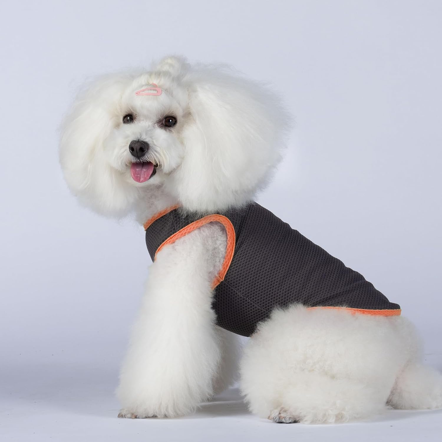 2 Pack Cooling Shirts for Dogs, Lightweight Mesh Breathable Dog Shirt for Small Medium Dogs Boy, Sun-Protection Sleeveless Shirts for Dog&Cat Puppy Vest Pet Apparel P23ST00605XL