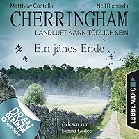 Ein jähes Ende Hörbuch