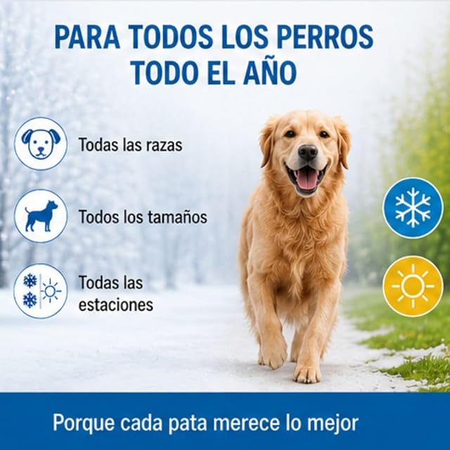 Foto 7 de 8 de Pomada para Patas de Perros, Protección y Regeneración - Bálsamo Curativo y Protector de Patas