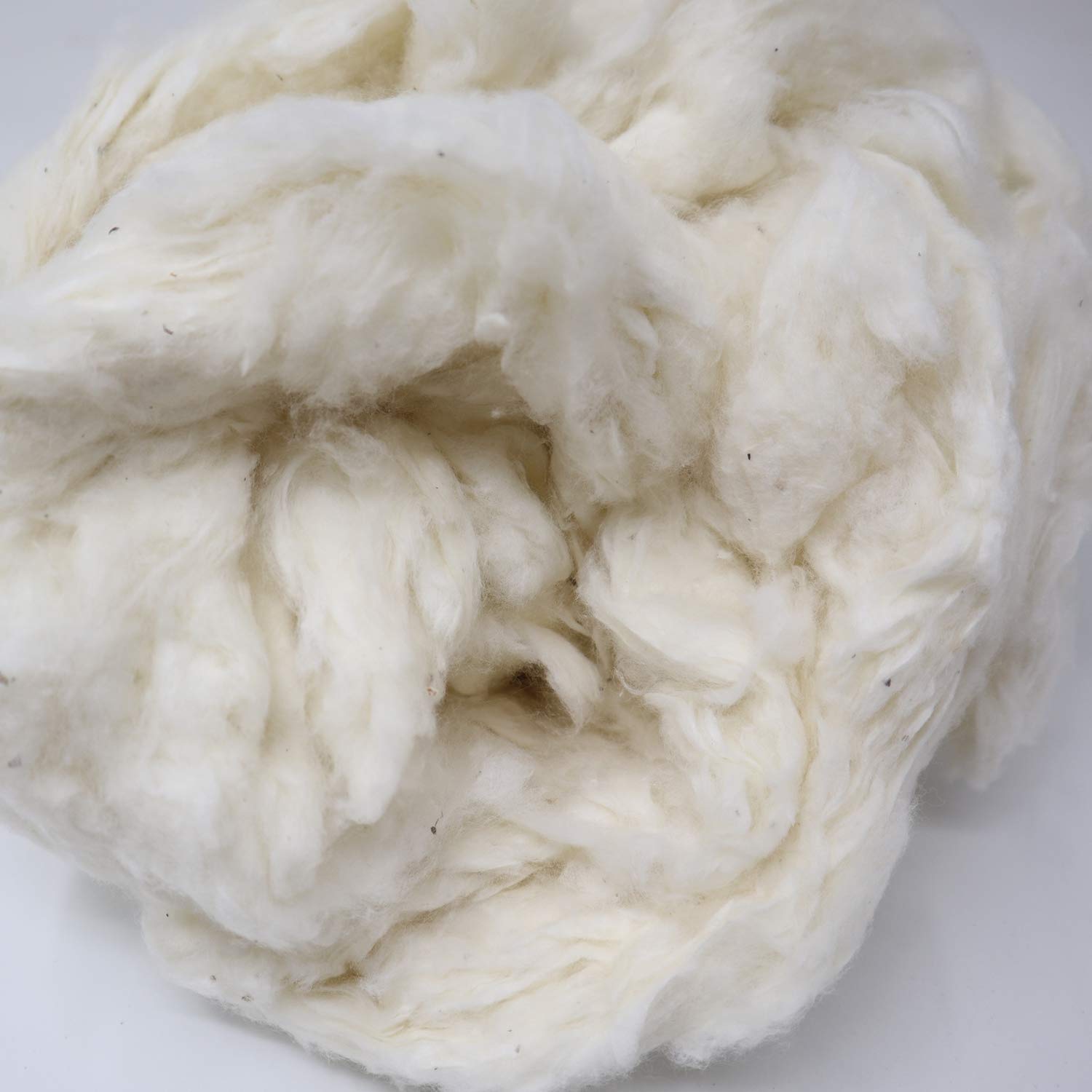 Rembourrage en fibre de coton brut biologique de 0,45 kg, couleur naturelle, respectueux de l'environnement, pour oreillers, couettes, poupées (0,9 kg)