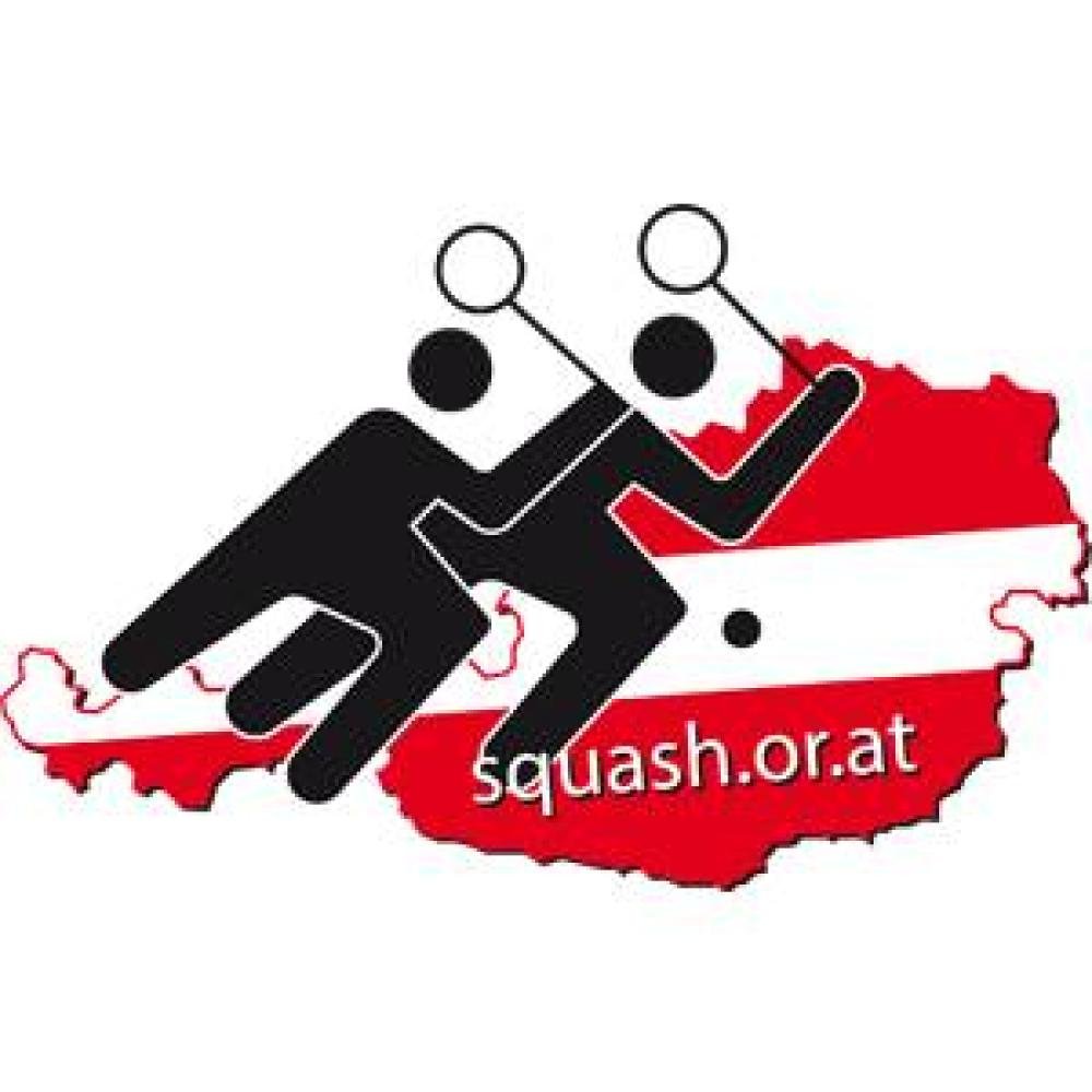 Victor Squashbälle 6er sehr langam , doppelgelb II