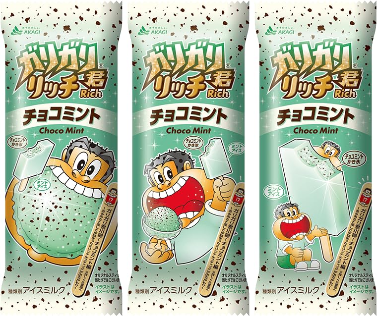 Amazon.co.jp: 赤城乳業 ガリガリ君リッチチョコミント100ml×24袋