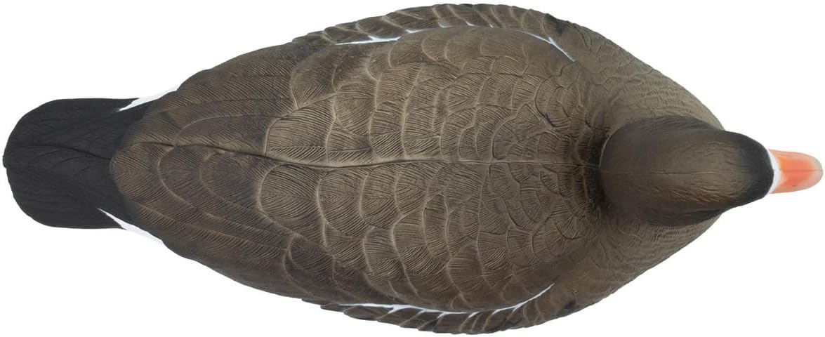 MYDUD Last Pass Specklebelly Goose Floating Decoys, 6 Pack