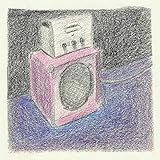 cassette campagnolo record 10v 12-30  10 V