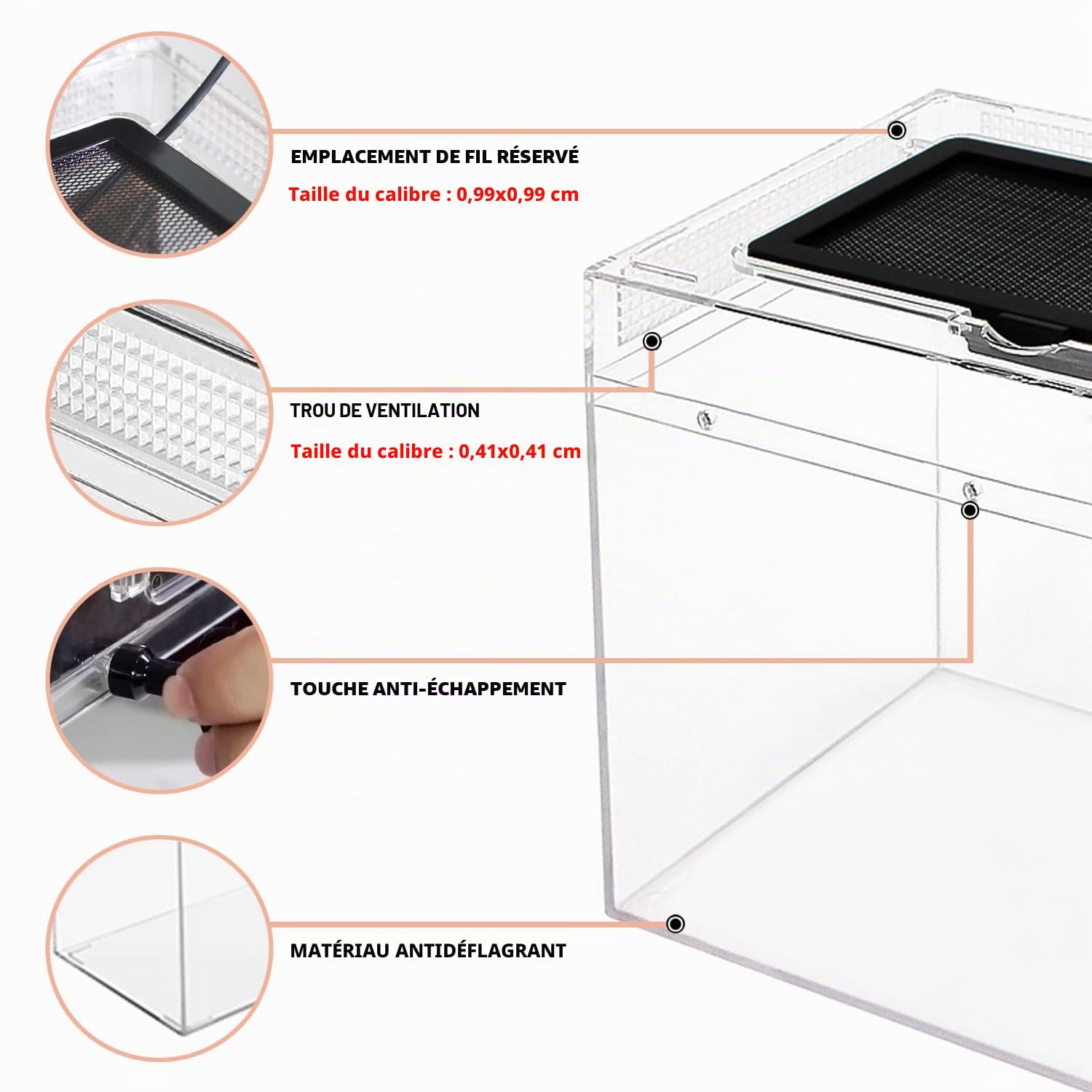 Reptile Growth PC Trousse de Terrarium Reptile, 12" x 7"x 6" PC terrariums avec Vue complète visuellement Attrayante, Vivarium pour Léopard Gecko Barbu Dragon Lézard Escargot Tarentule Serpent Tortue