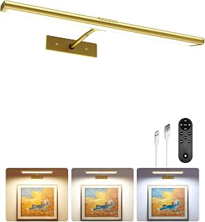 EZVALO 16 inch picture light gold