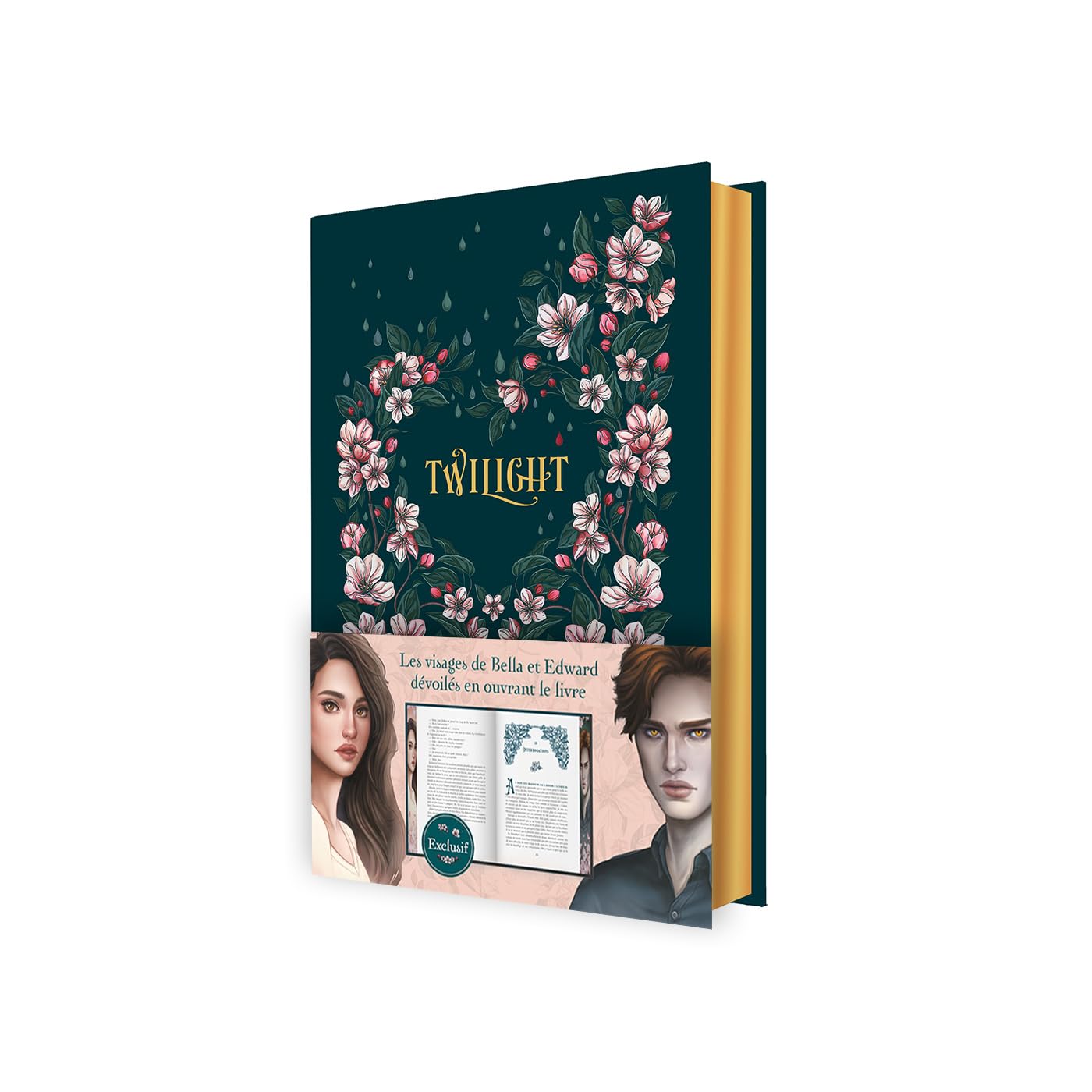 Twilight tome 1 : Édition Collector 20e Anniversaire: Fascination