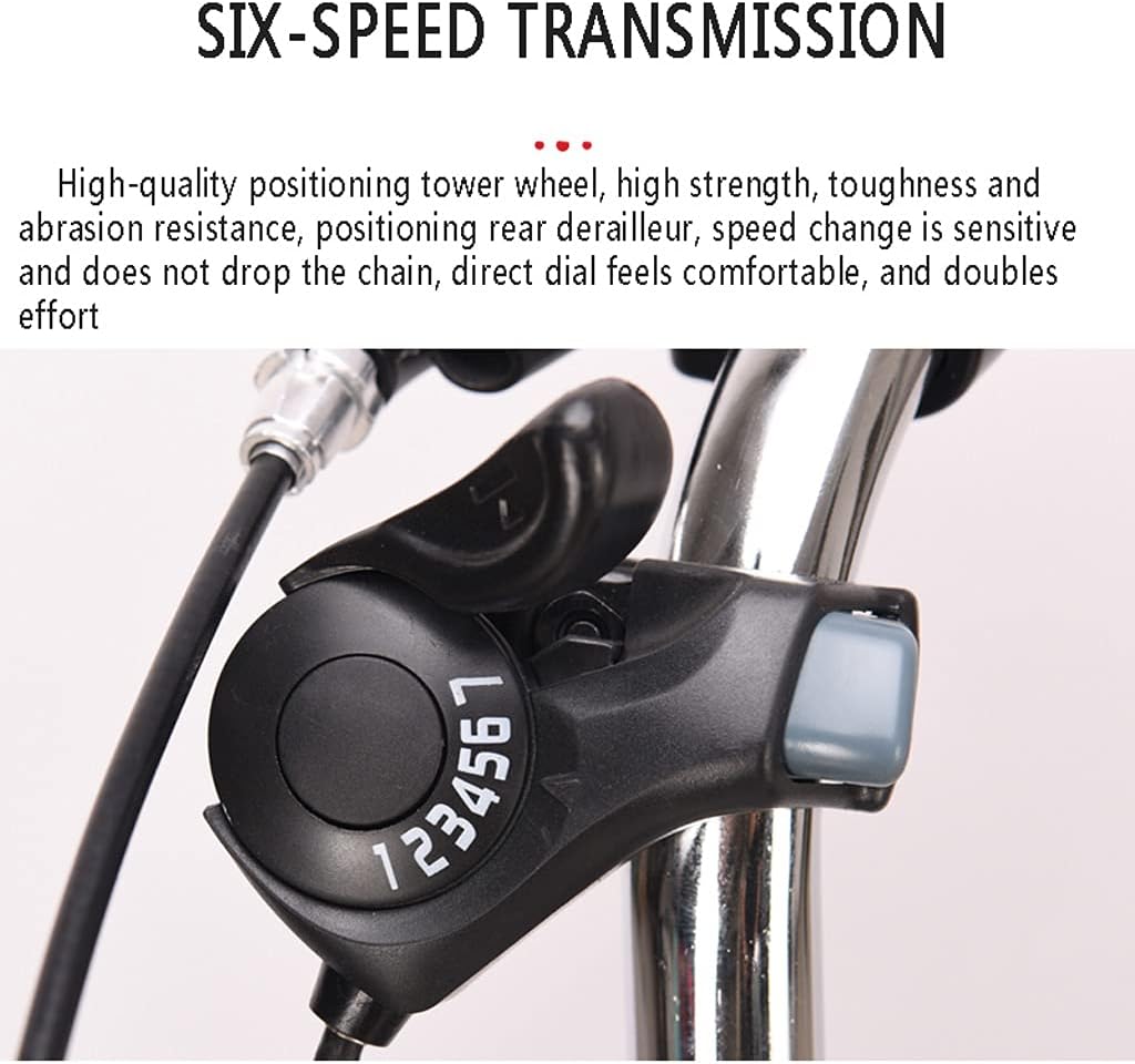 Three Wheel Bike 20 Inch Comfort Bicycles Bike Double Chain Adult Tricycle 6-Speed Adult Bicycle with Shopping Basket Convenient for The Elderly to Travel Cycling Pedalling