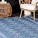 nuLOOM Serna Moroccan Indoor/Outdoor Area Rug, 5x8, Blue