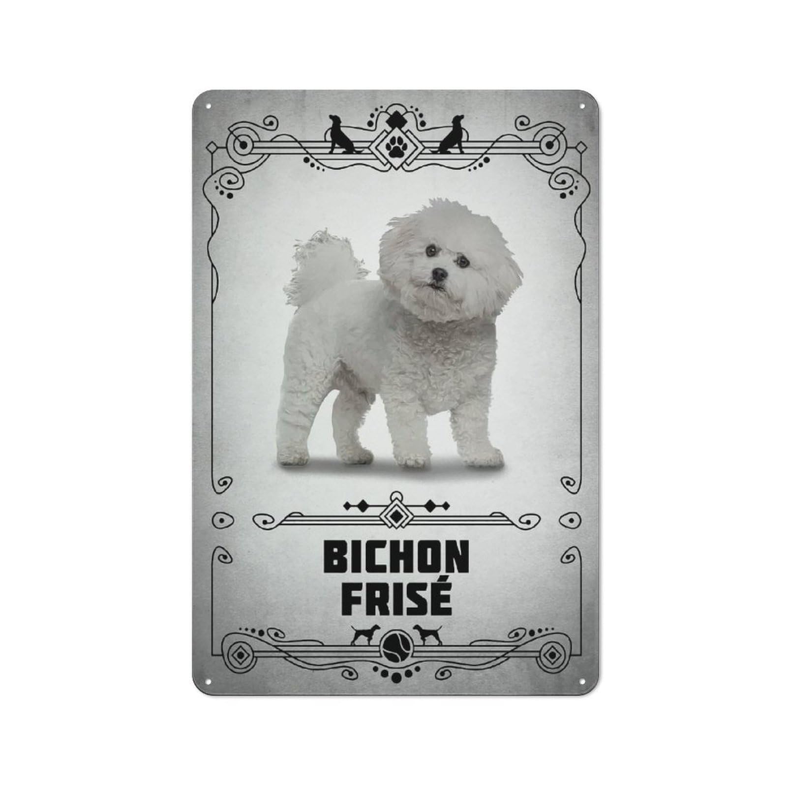 Casual Bichon Frise Shed Metal Sign 30x20cm, Shed Wall Decor for Greenhouse, Garden Room, Cafe Or Entryway