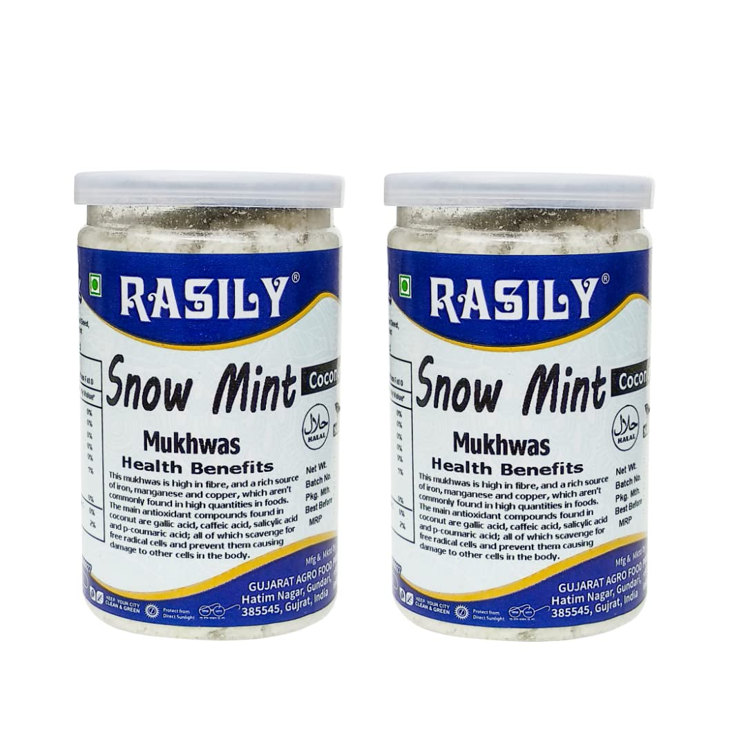 Rasily Traditional Mouth Freshener Mukhwas Mix Digestive and Hygienically Packed After-Meal Snack (Snow Mint, Pack of 2)