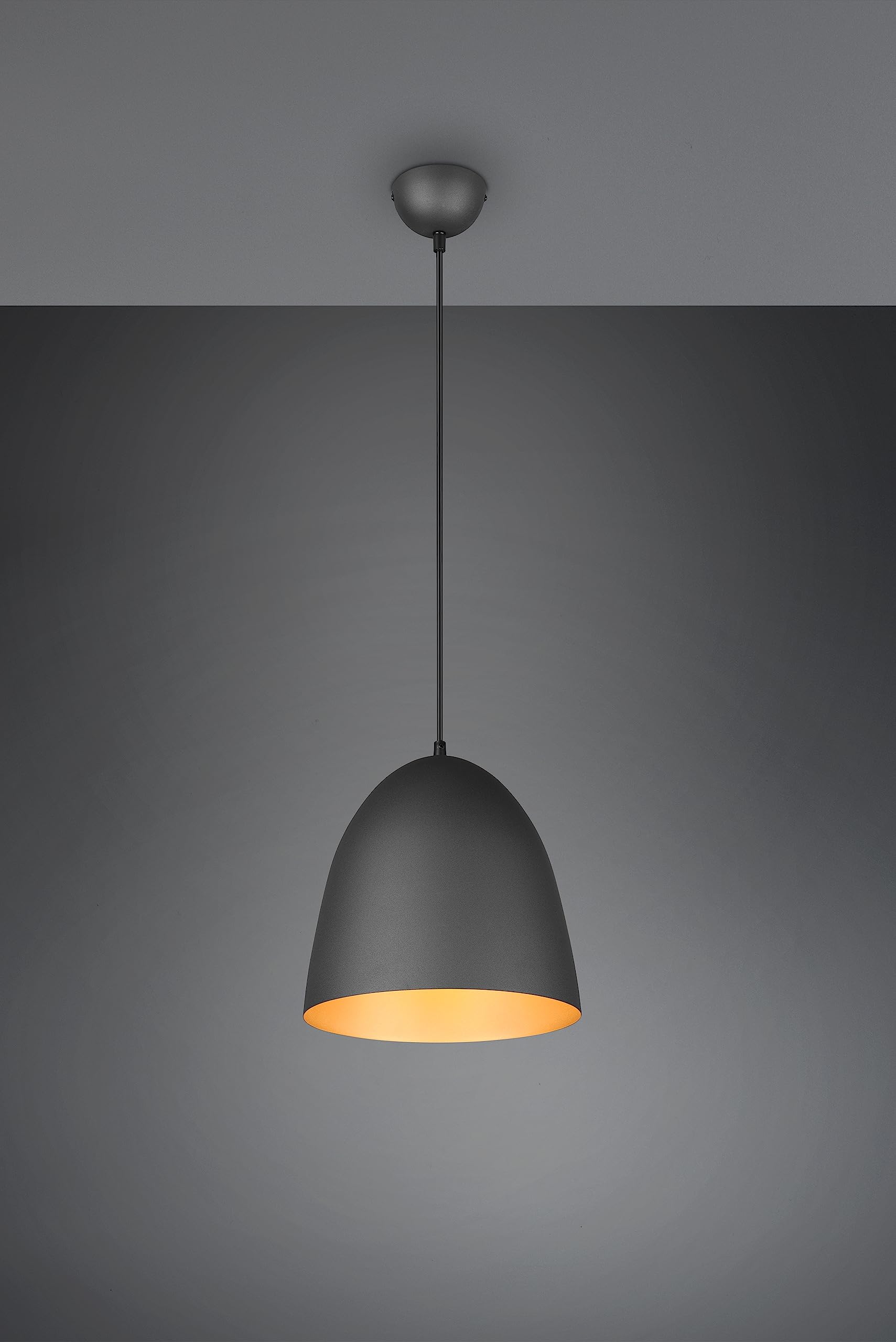 Reality Leuchten Pendelleuchte Tilda R30661080, Schirm Metall Schwarz matt/goldfarbig, exkl. 1x E27
